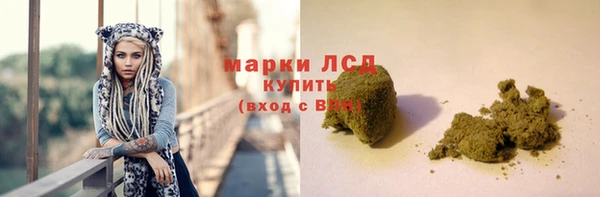 винт Ельня