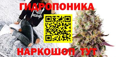 Альфа ПВП Заволжье