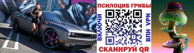 shop Telegram  Родники  Галлюциногенные грибы ЛСД 