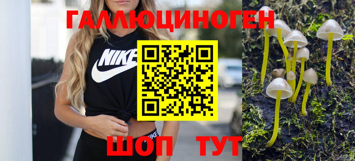 Псилоцибиновые грибы Psilocybine cubensis Родники